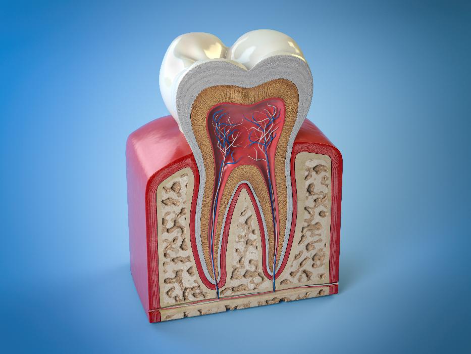 root canal treatment preston vic